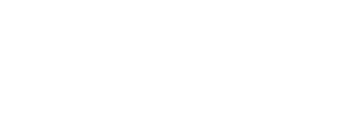 Logo L17.cz